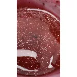 Liquid polygel - FLORANCE CHARM- 15 ml